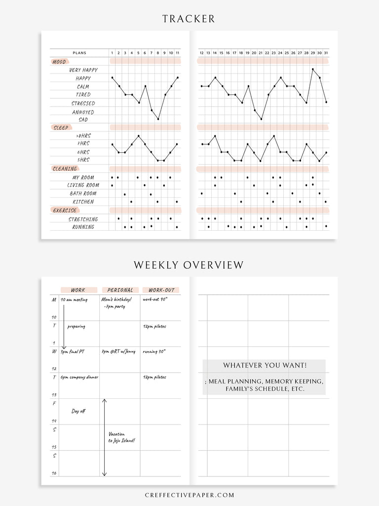 Travel Notebook Graph One Notebook A Month for Traveler's Notebook – CreffectivePaper